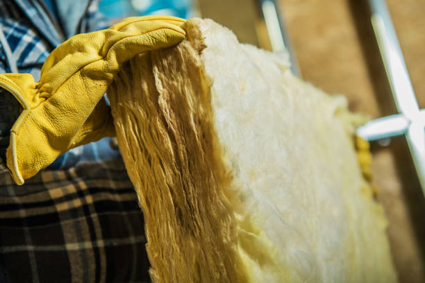 Best Insulation Maintenance and Repair in Tellico Plains, TN