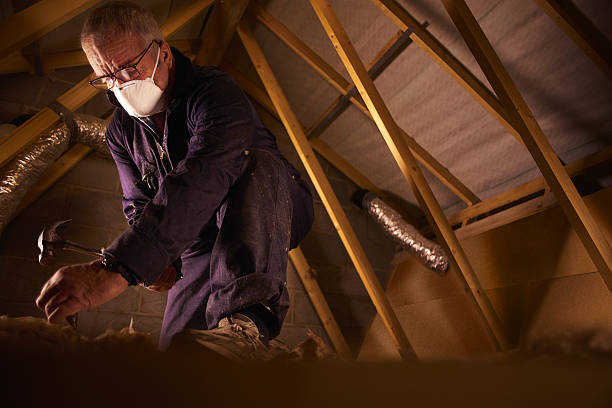 Best Insulation for Specific Applications in Tellico Plains, TN