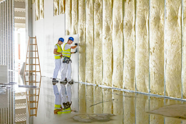 Best Commercial Insulation in Tellico Plains, TN